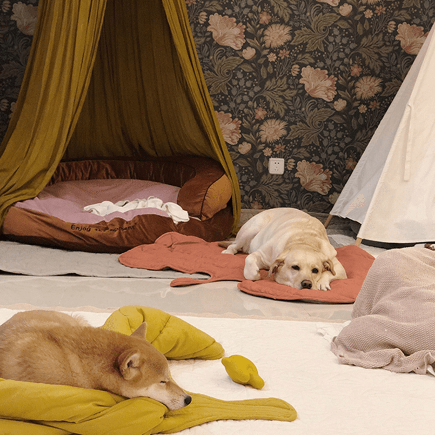 Special Dog Blanket - Cosypaws