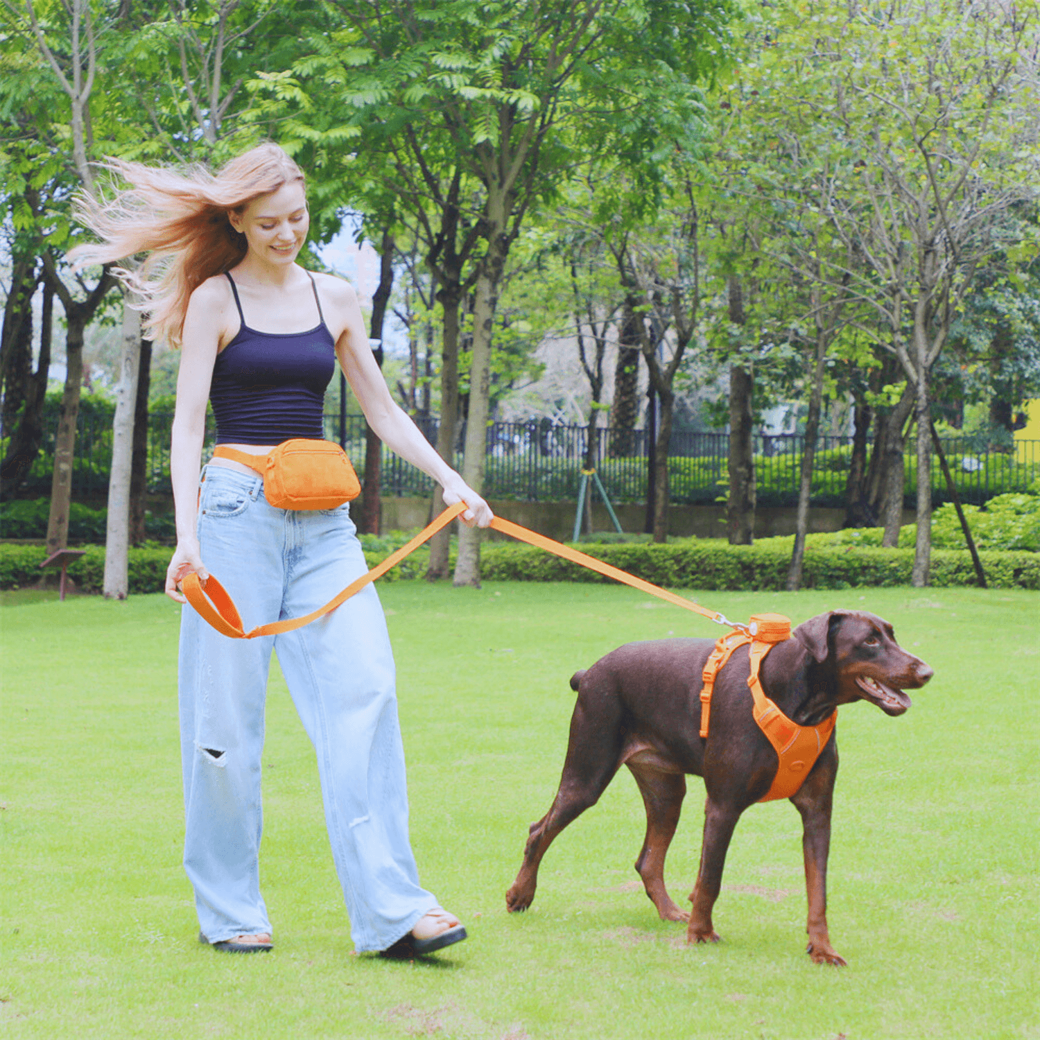 Handmade Reflective Dog Harness Set - Cosypaws