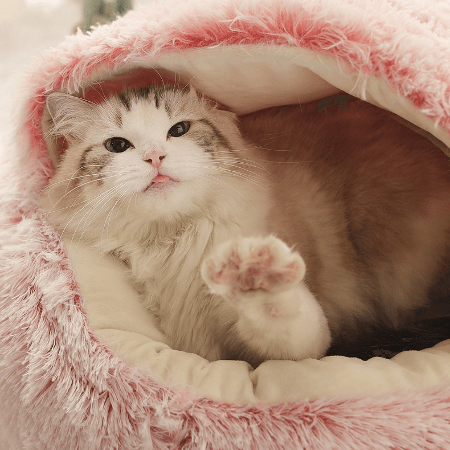 Calming Semi-Enclosed Pet Bed - Cosypaws