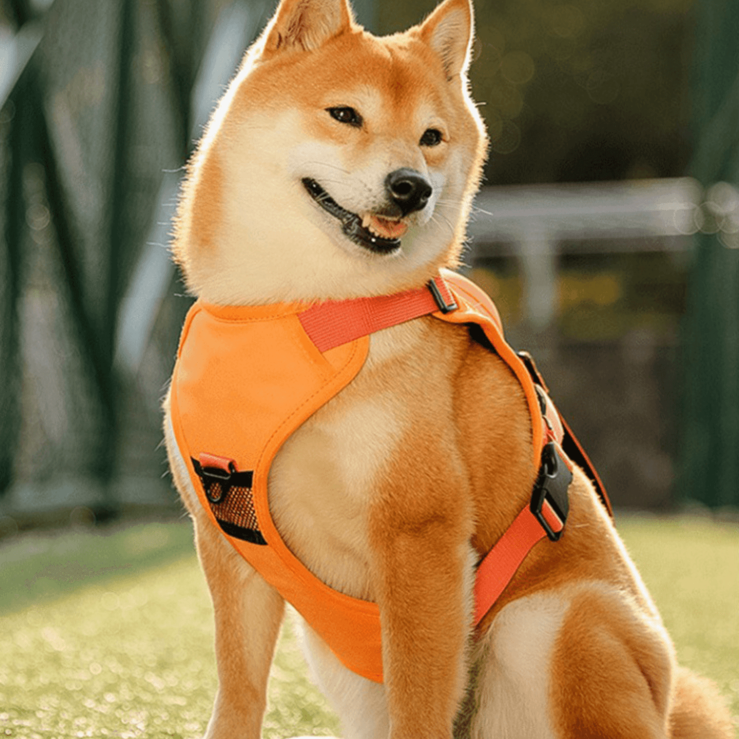 Automatic Retractable Dog Walking Harness - Cosypaws