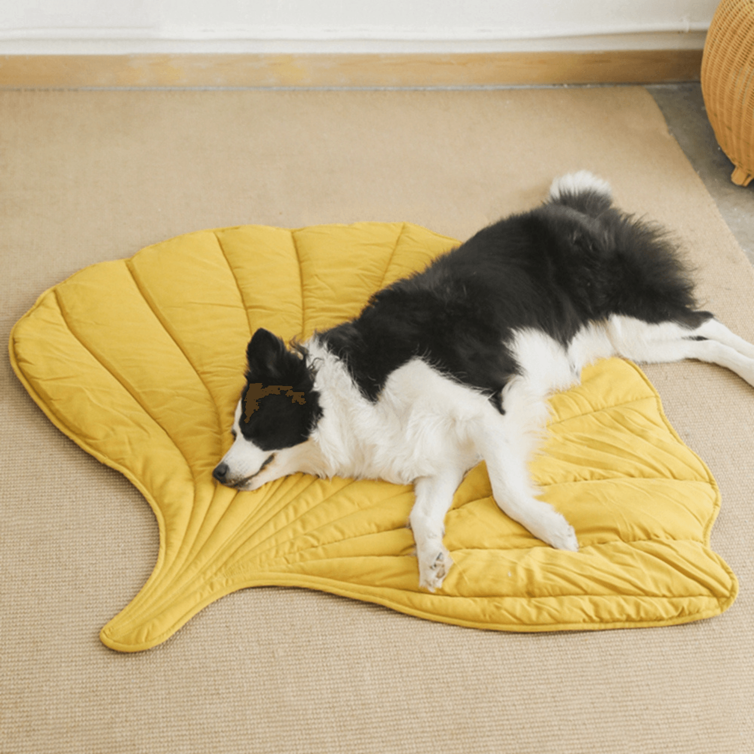Special Dog Blanket - Cosypaws