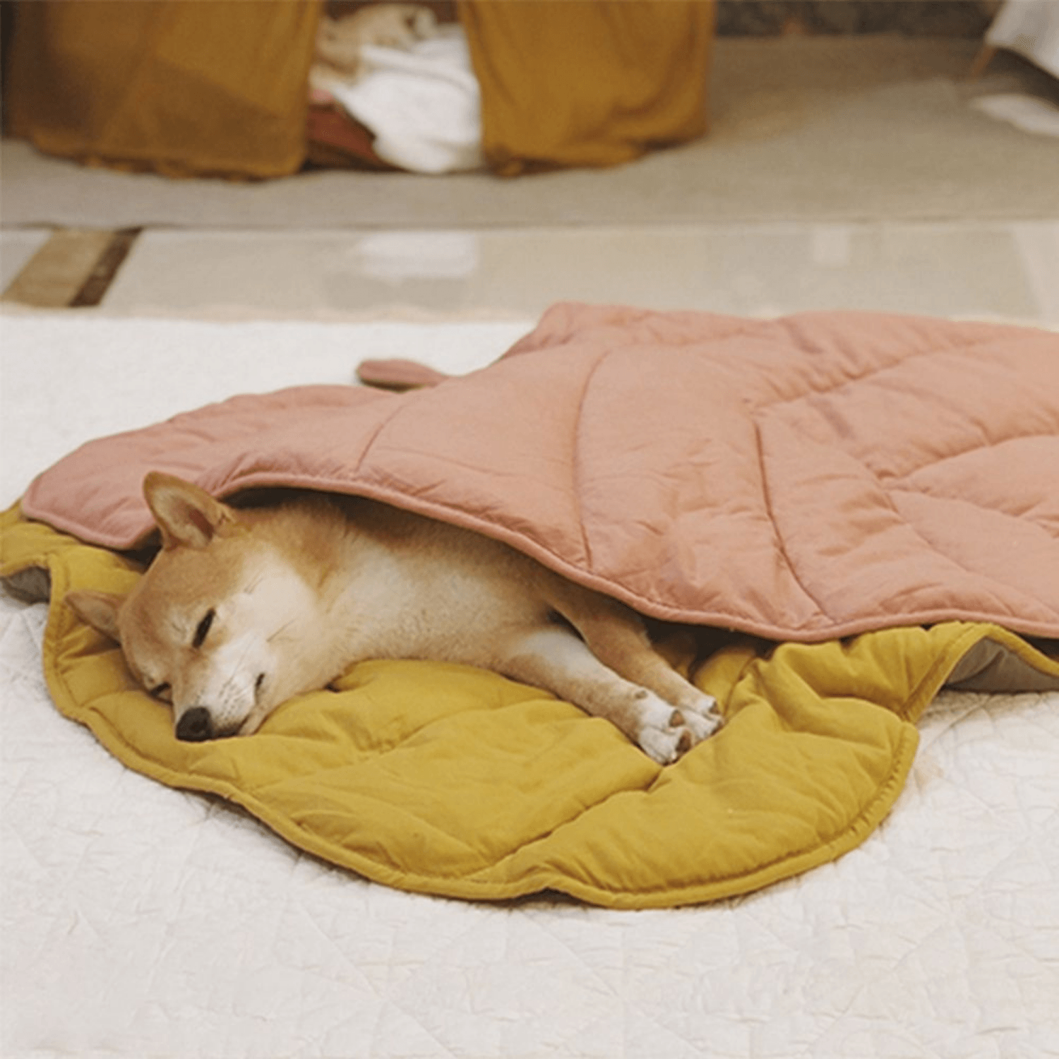 Special Dog Blanket - Cosypaws