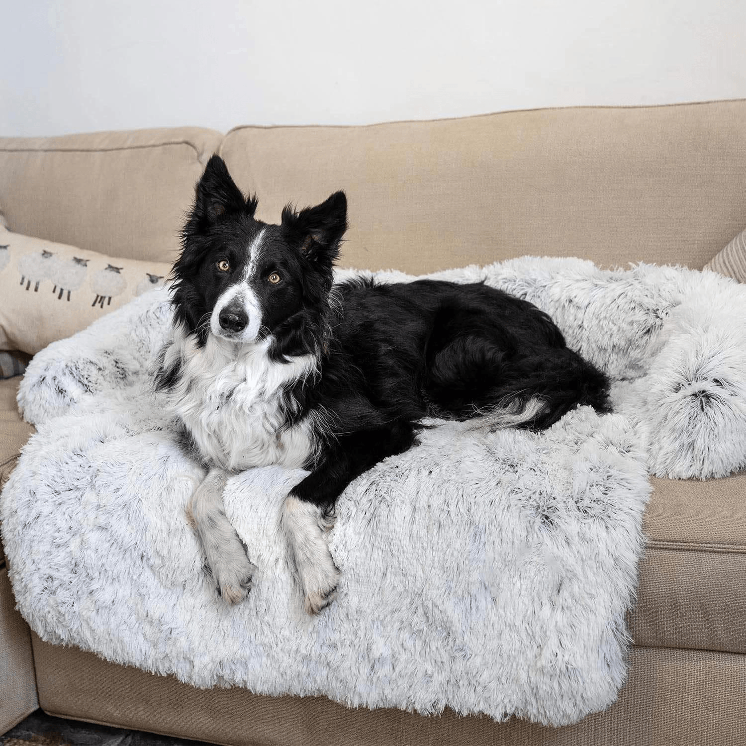 Fluffy Couch Cover Bed - Cosypaws