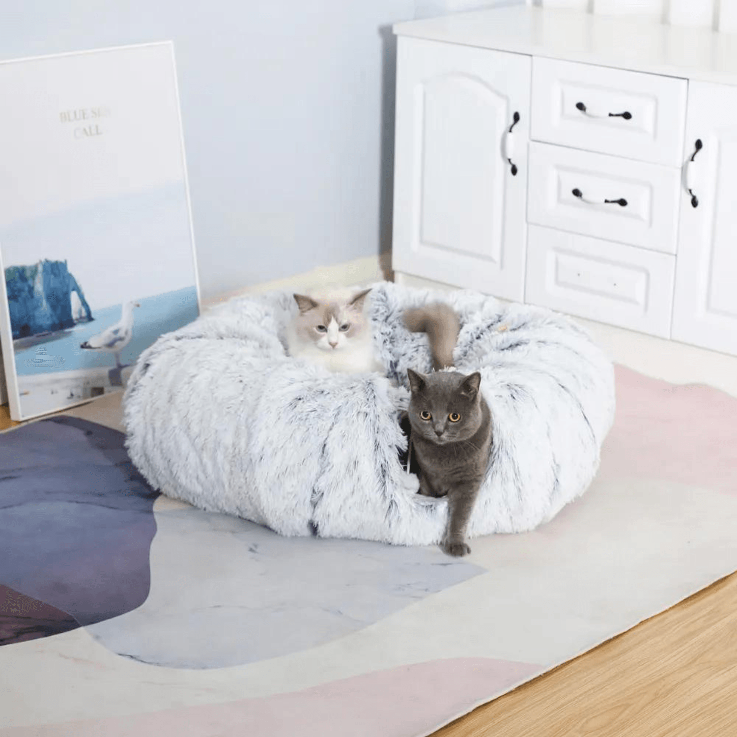 2 in 1 Foldable Indoor Round Cat Tunnel Bed - Cosypaws