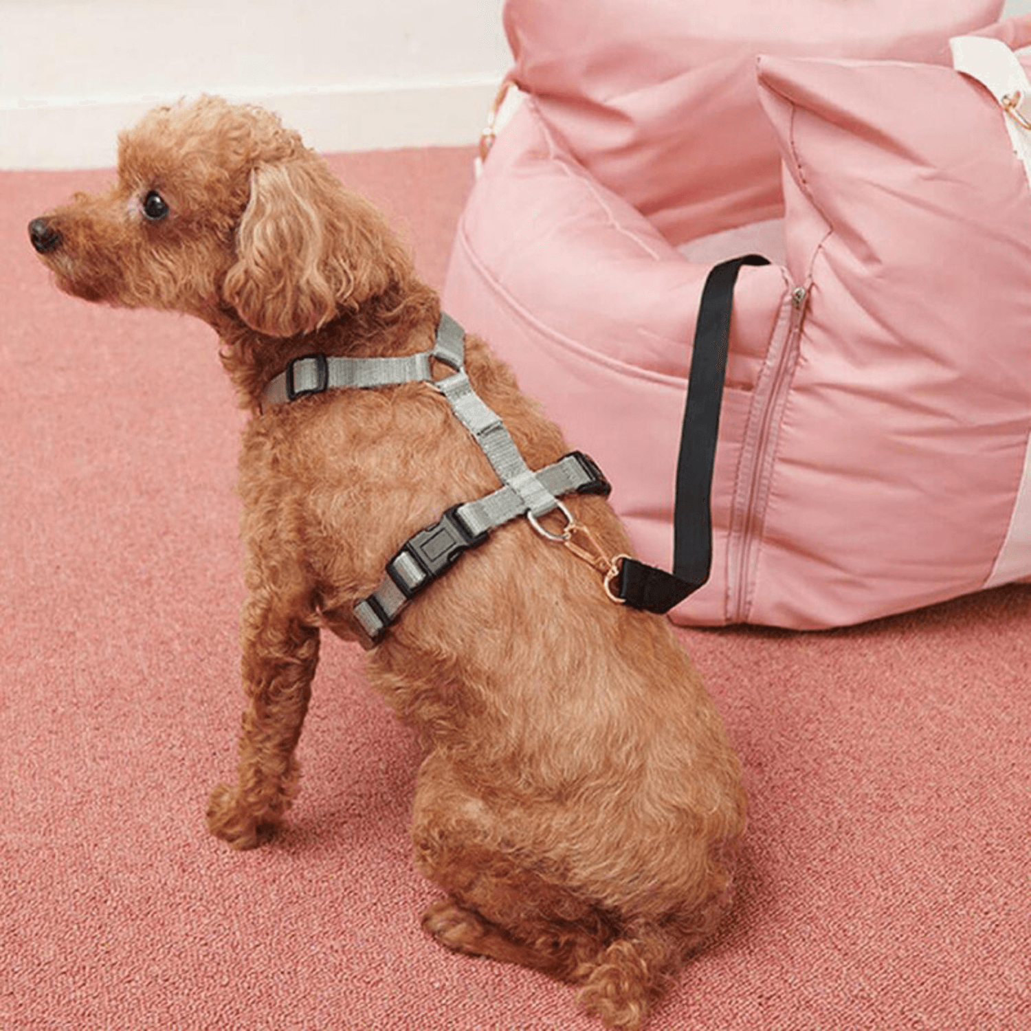 Waterproof Dog Car Seat Bed - First Class Comfort - Cosypaws