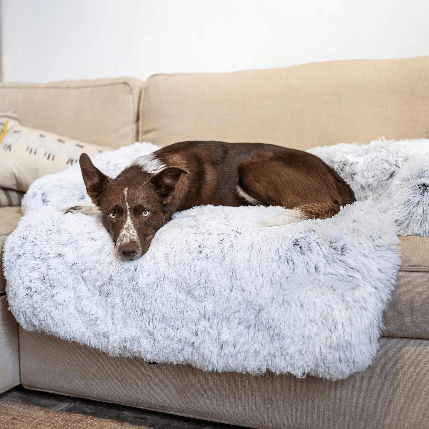 Fluffy Couch Cover Bed - Cosypaws