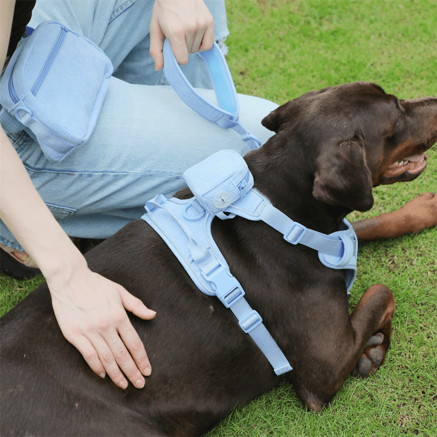 Handmade Reflective Dog Harness Set - Cosypaws