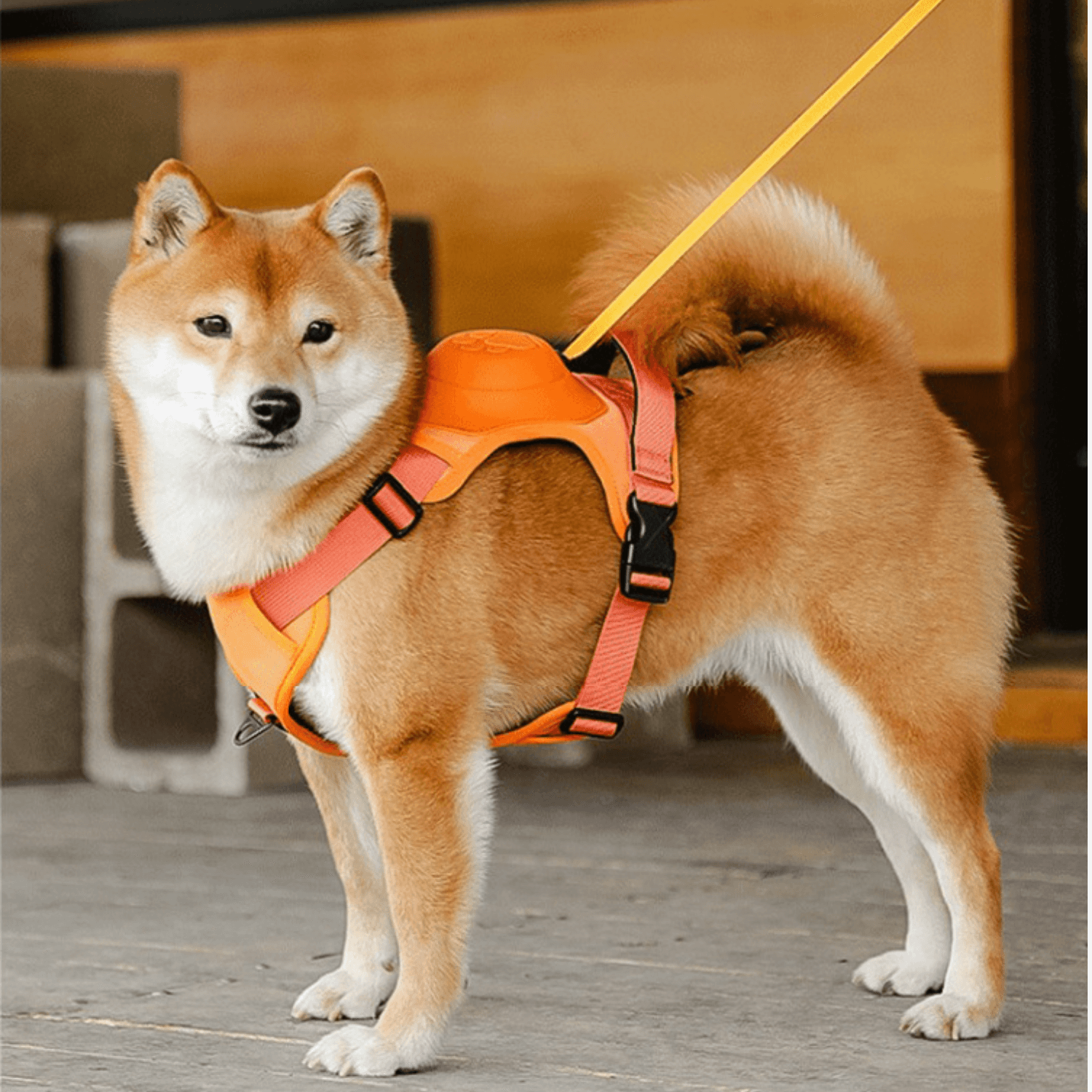 Automatic Retractable Dog Walking Harness - Cosypaws