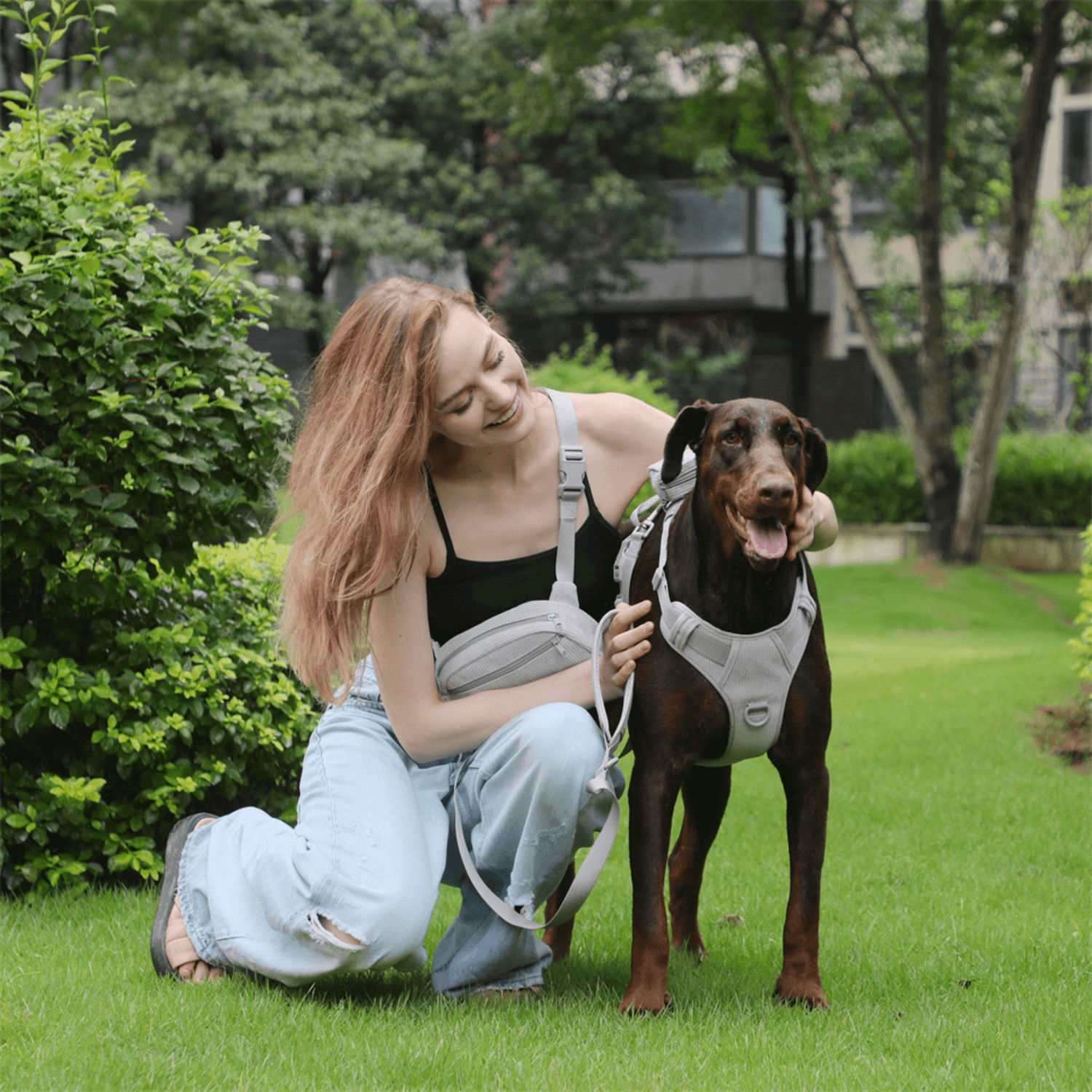 Handmade Reflective Dog Harness Set - Cosypaws