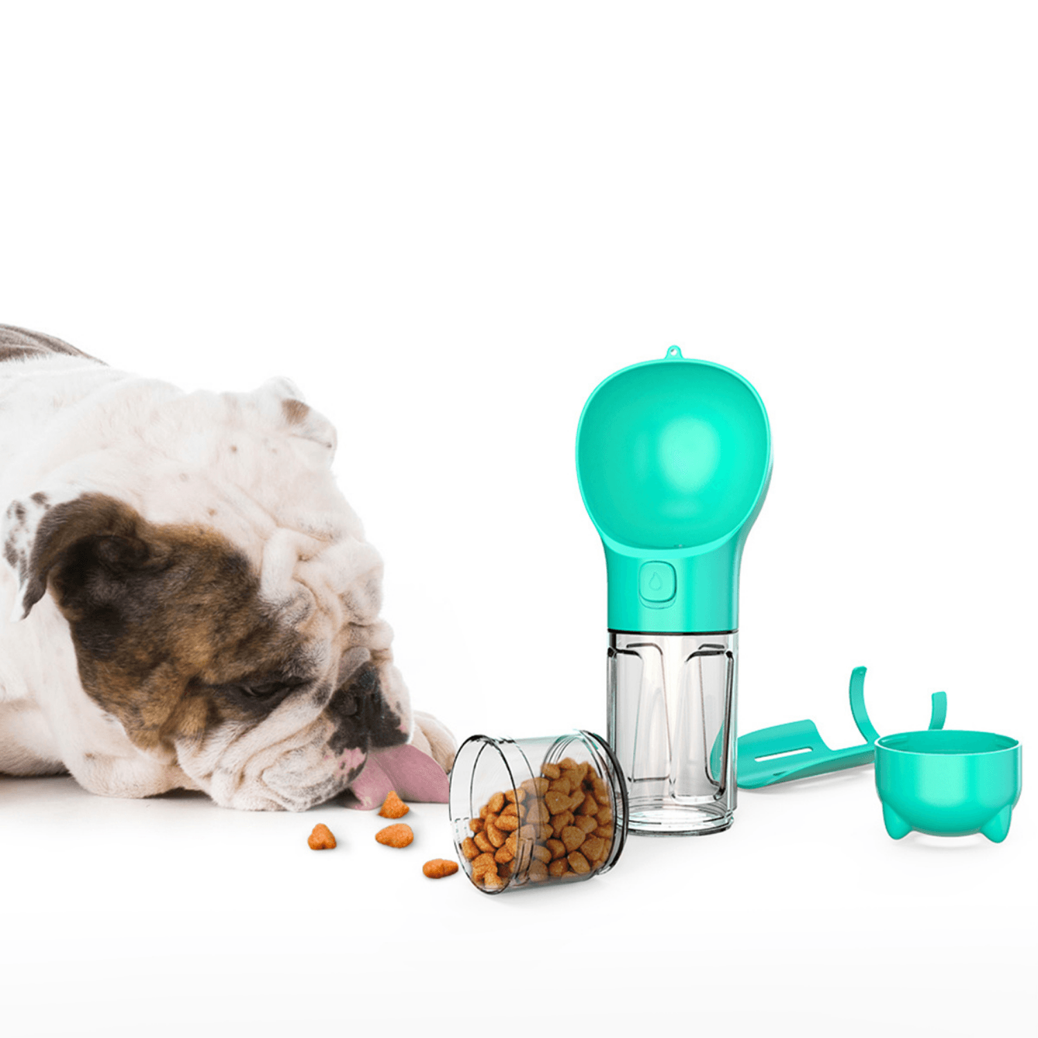 4 in 1 Pets Feeding Bowl - Cosypaws