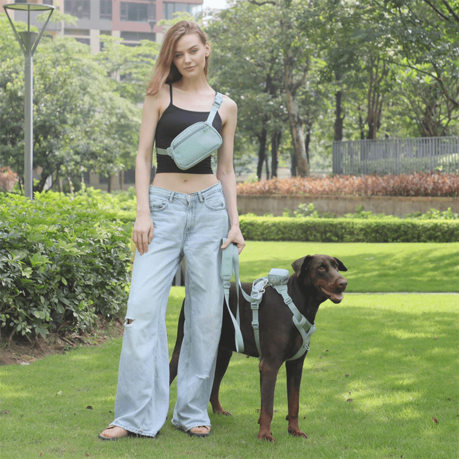 Handmade Reflective Dog Harness Set - Cosypaws