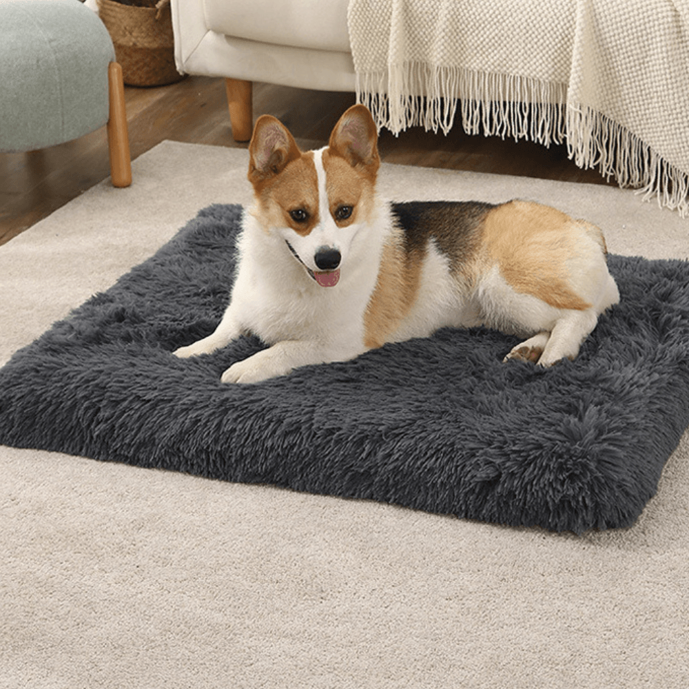 Calming Memory Foam Dog Bed - Cosypaws
