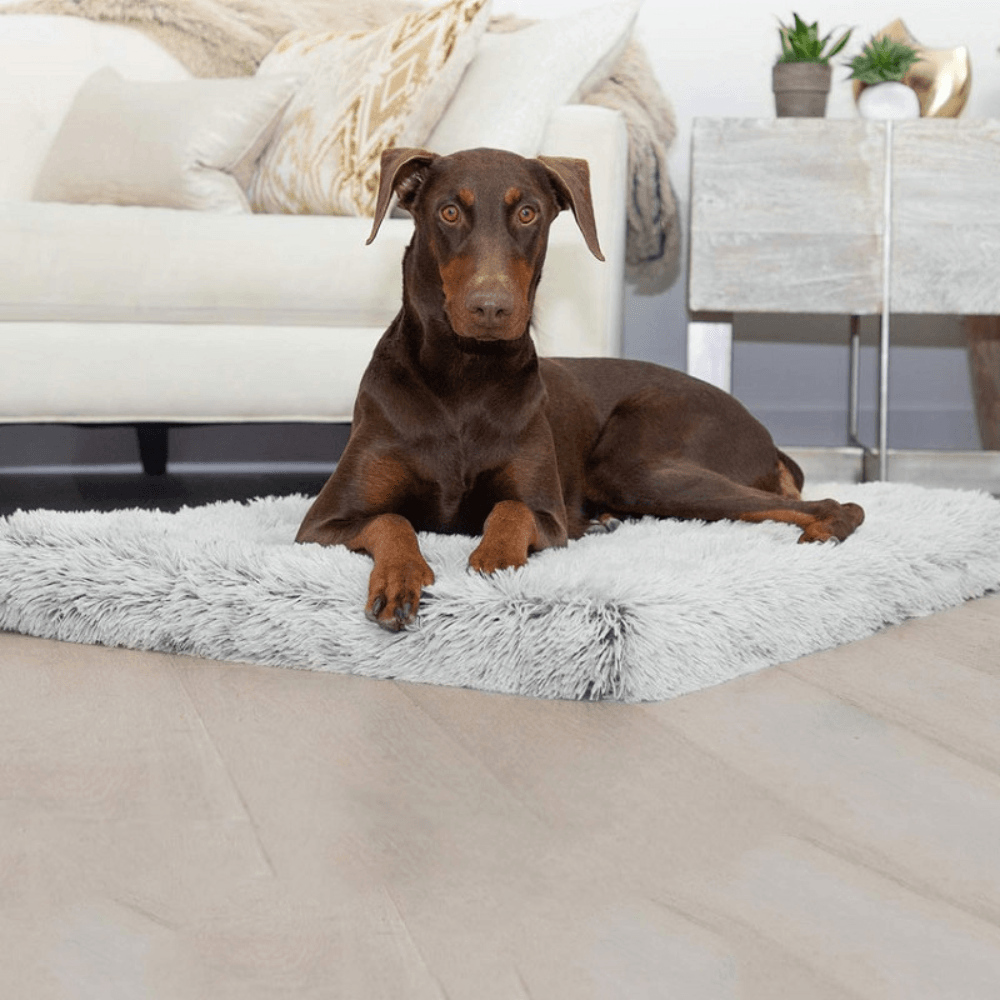 Calming Memory Foam Dog Bed - Cosypaws