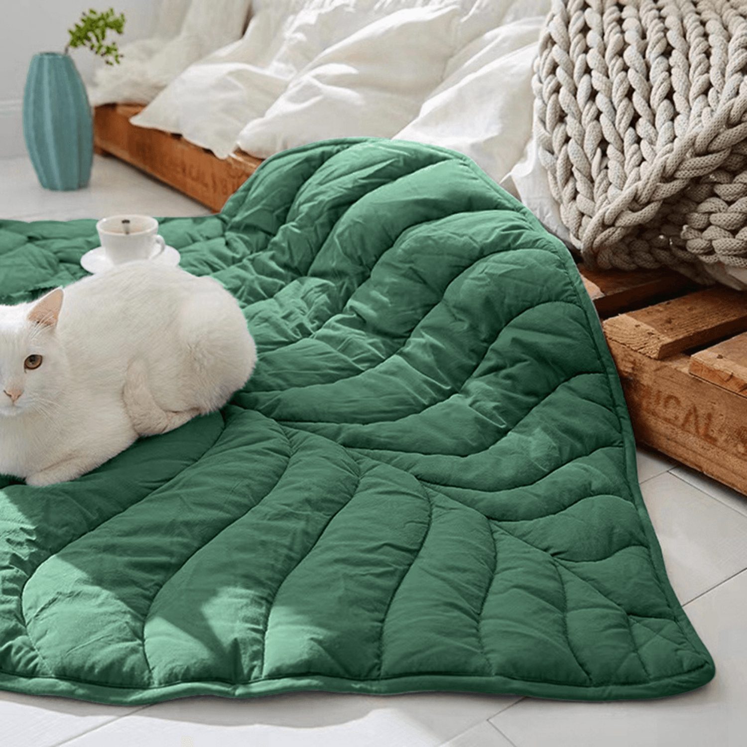 Special Dog Blanket - Cosypaws