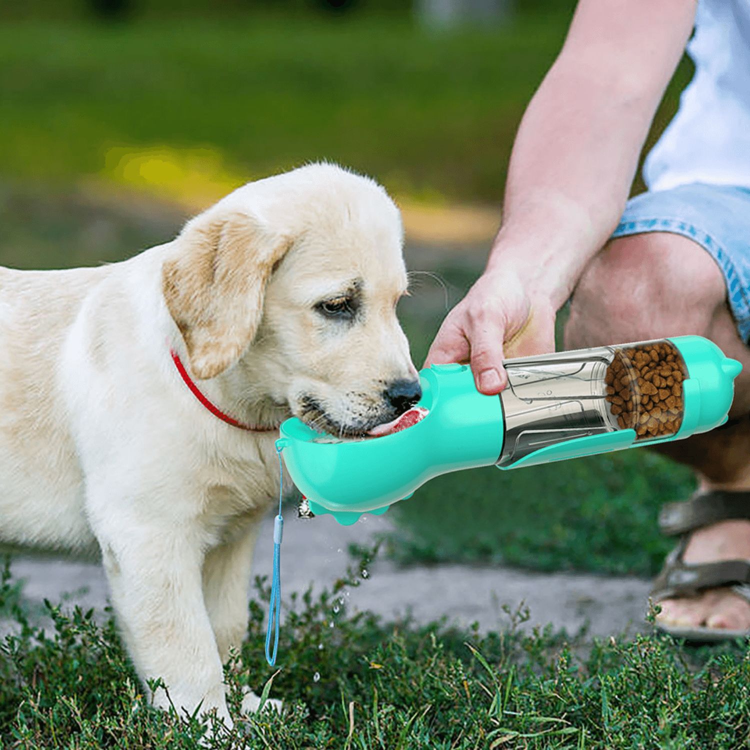 4 in 1 Pets Feeding Bowl - Cosypaws