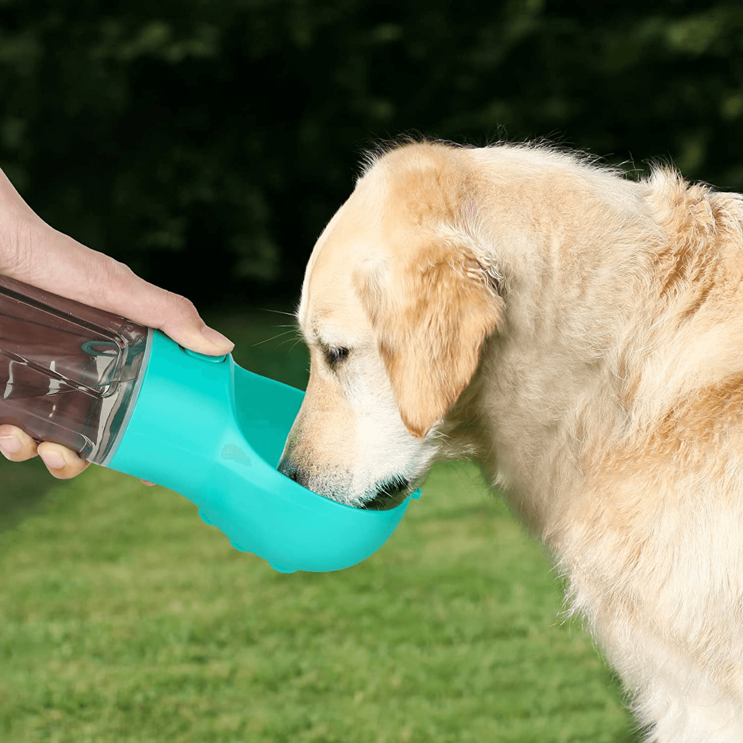4 in 1 Pets Feeding Bowl - Cosypaws