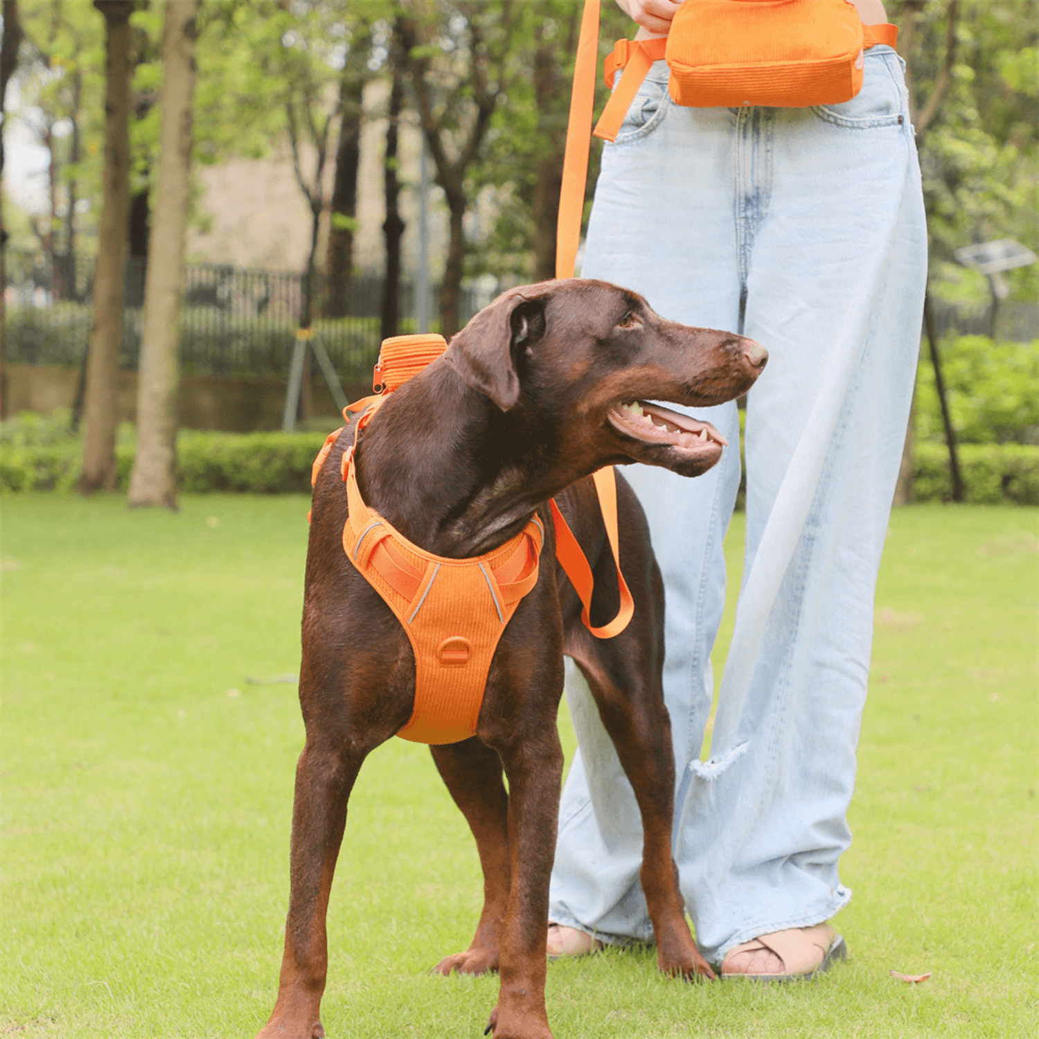 Handmade Reflective Dog Harness Set - Cosypaws