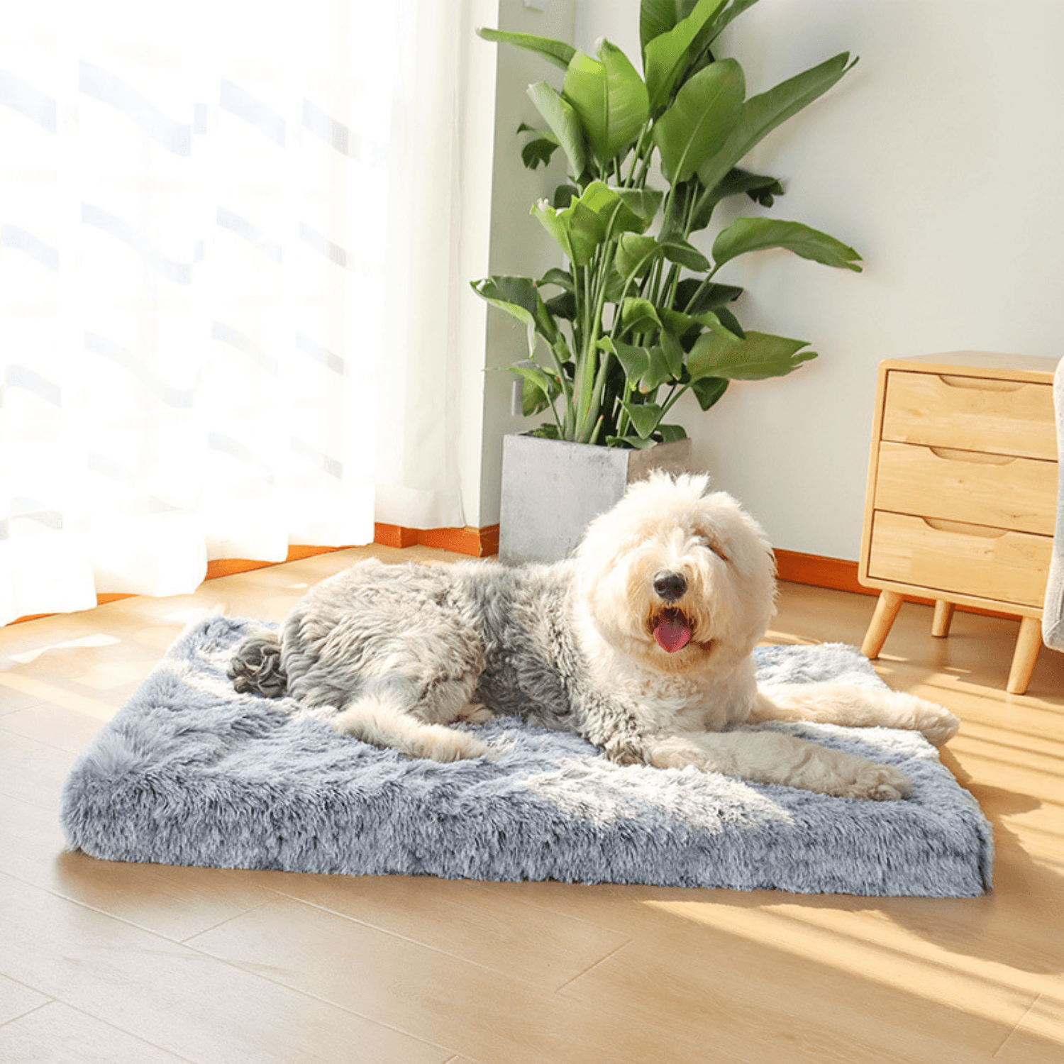 Calming Memory Foam Dog Bed - Cosypaws