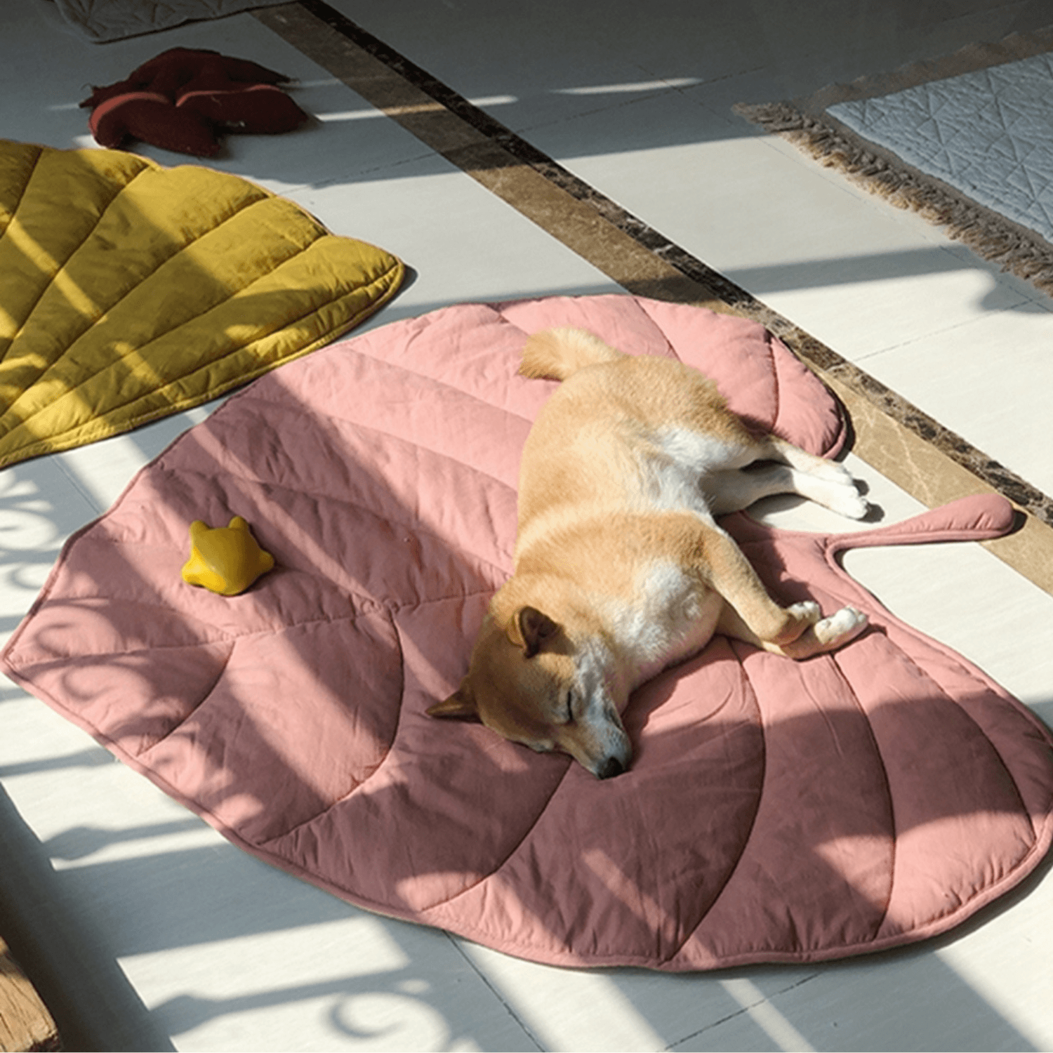 Special Dog Blanket - Cosypaws