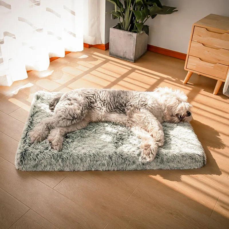 Calming Memory Foam Dog Bed - Cosypaws