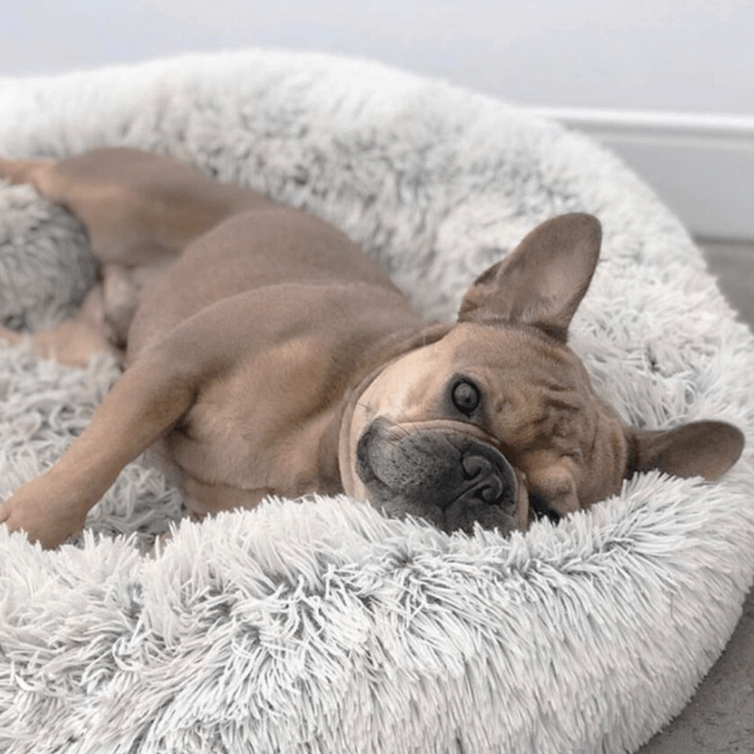 Fluffy Round Dog Bed - Cosypaws