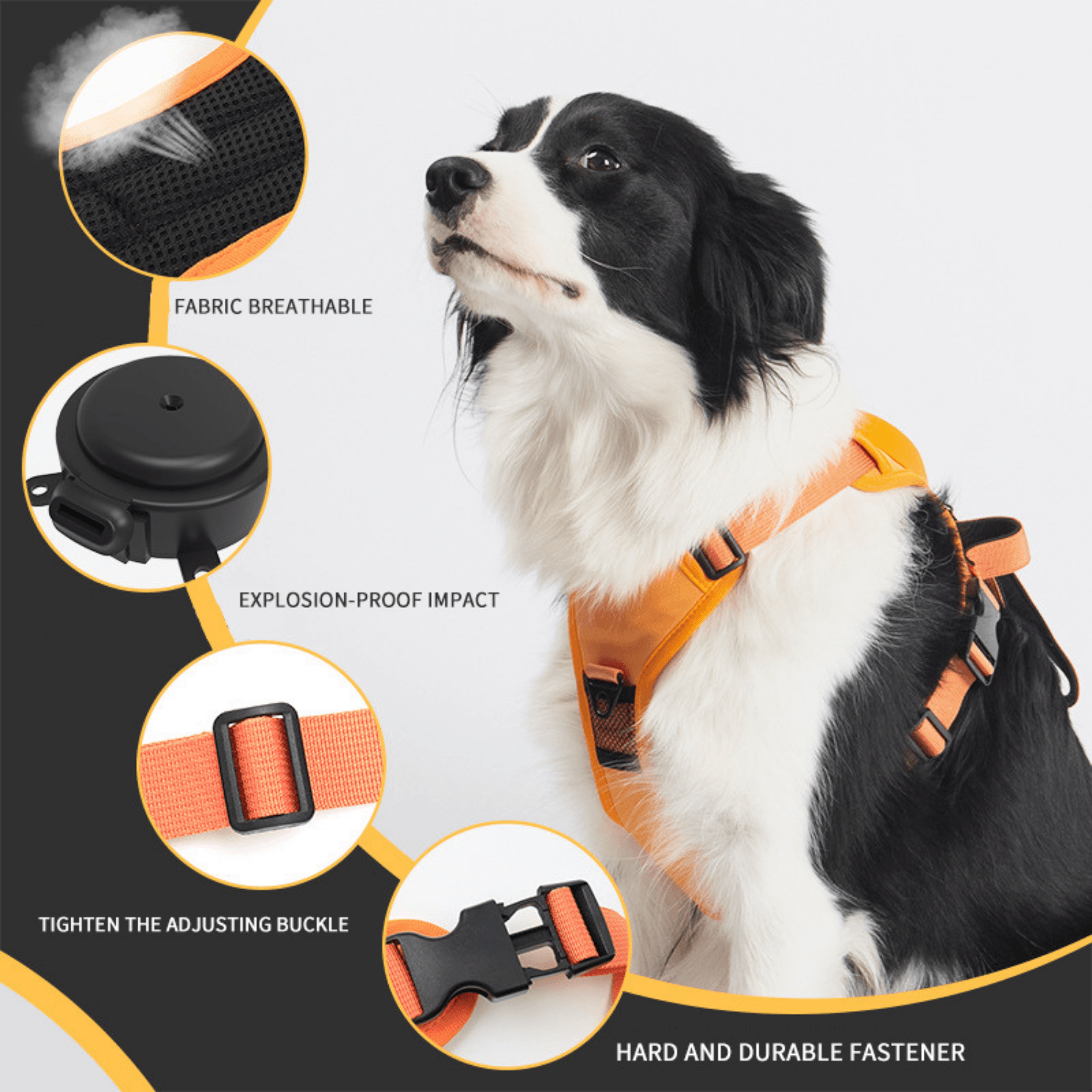 Automatic Retractable Dog Walking Harness