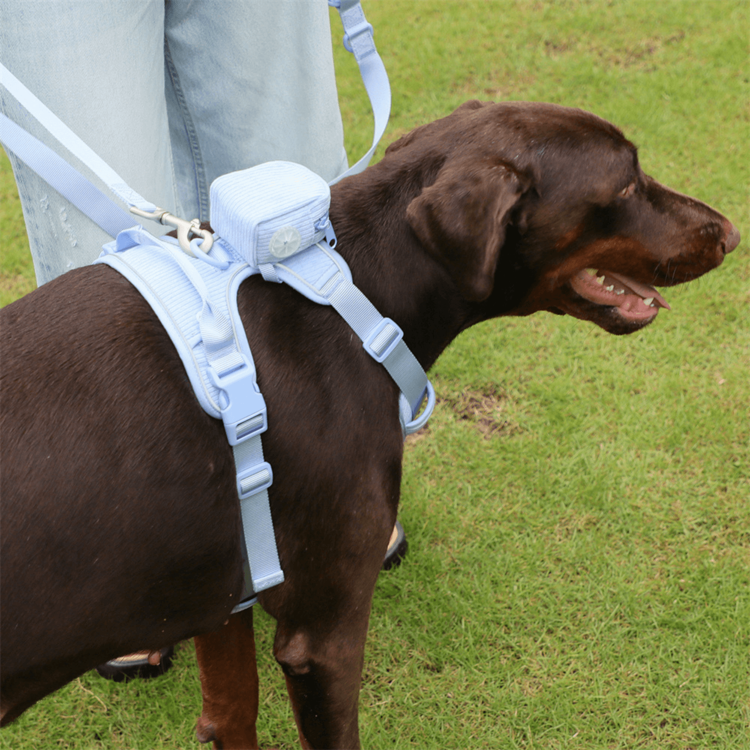 Handmade Reflective Dog Harness Set - Cosypaws