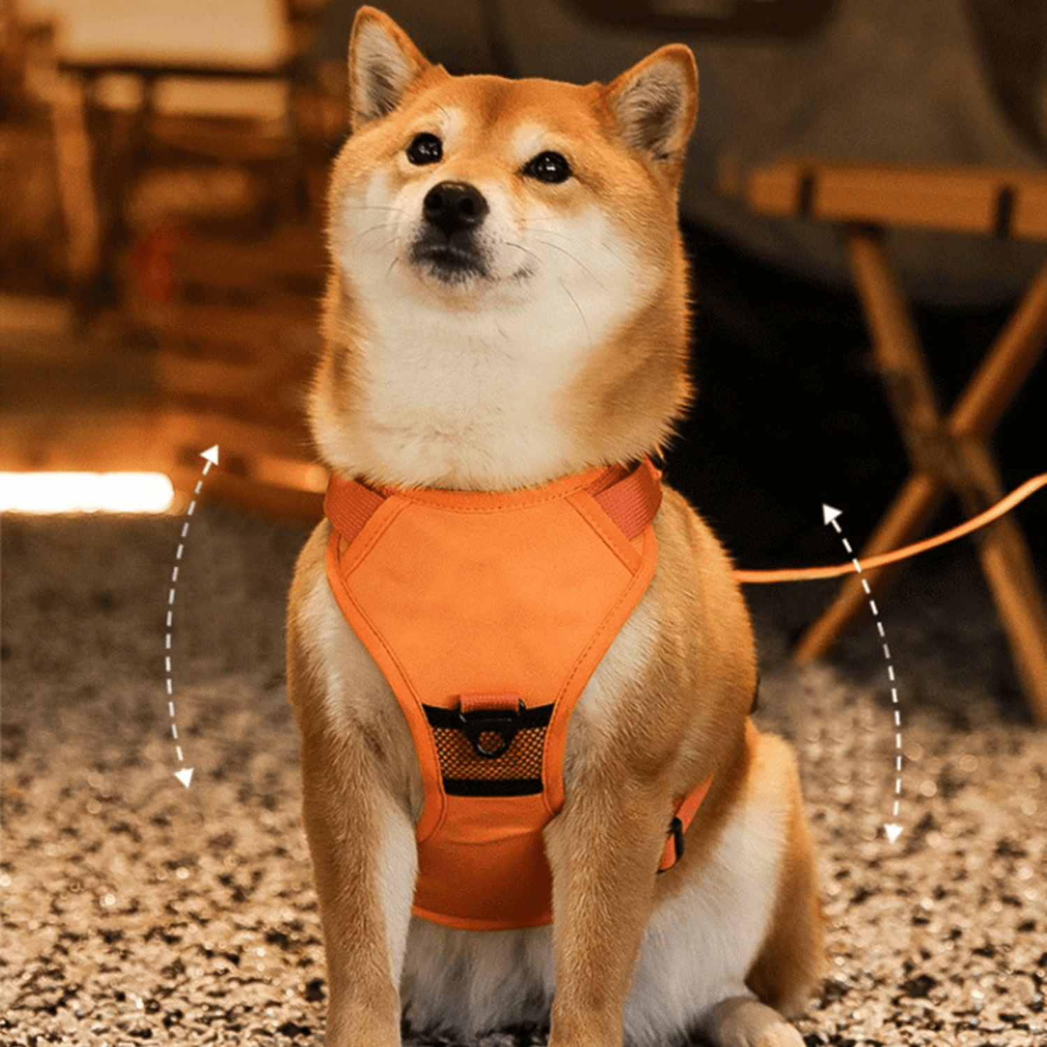 Automatic Retractable Dog Walking Harness - Cosypaws
