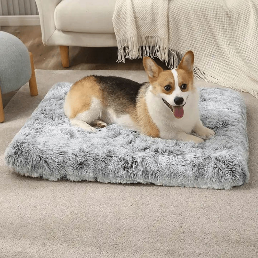 Calming Memory Foam Dog Bed - Cosypaws