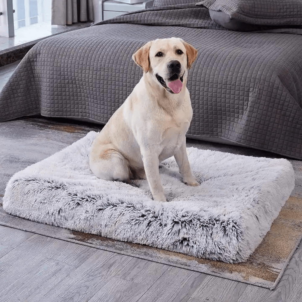 Calming Memory Foam Dog Bed - Cosypaws