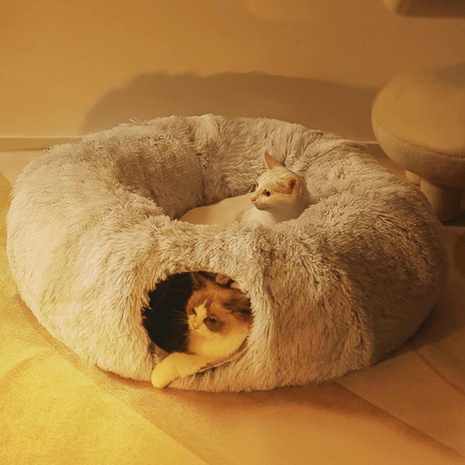 2 in 1 Foldable Indoor Round Cat Tunnel Bed - Cosypaws