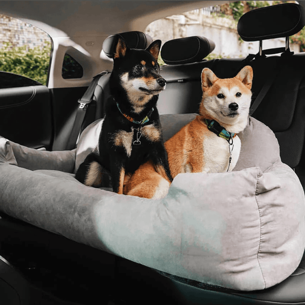 Best dog shop bed for car