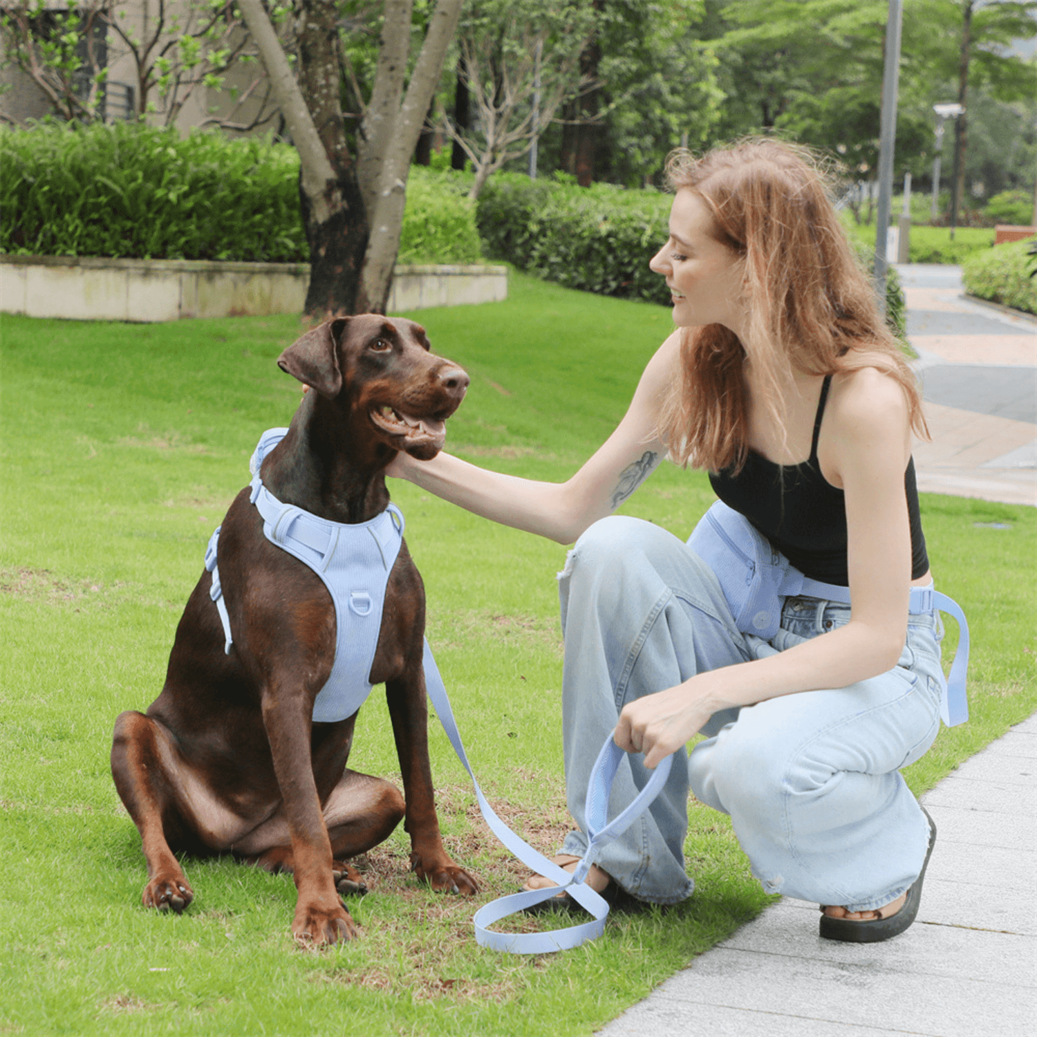 Handmade Reflective Dog Harness Set - Cosypaws